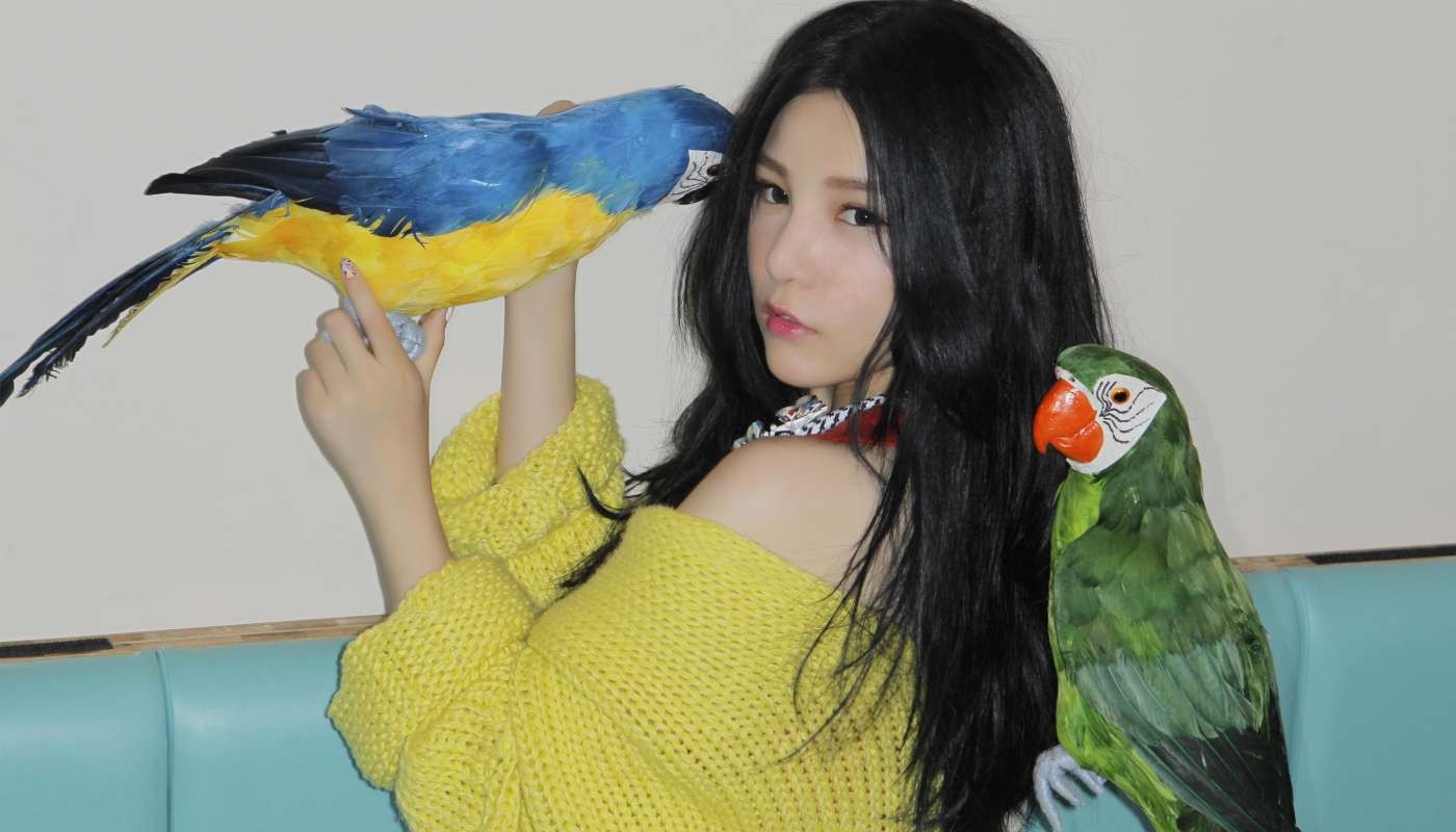 User Cover