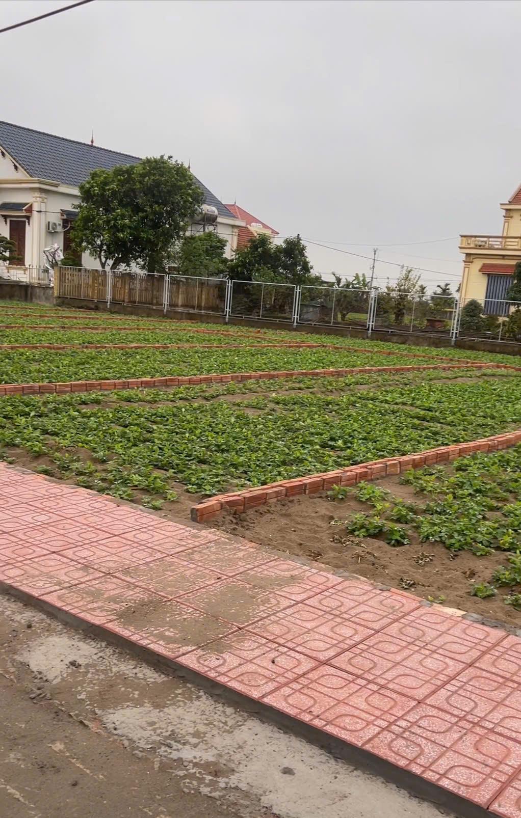  ???? BÁN ĐẤT THỊ TRẤN QUẤT LÂM 91M² ????

???? CƠ HỘI SỞ HỮU LÔ ĐẤT ĐẸP – VỊ TRÍ ĐẮC ĐỊA – ĐẦU TƯ SINH LỜI NHANH! 