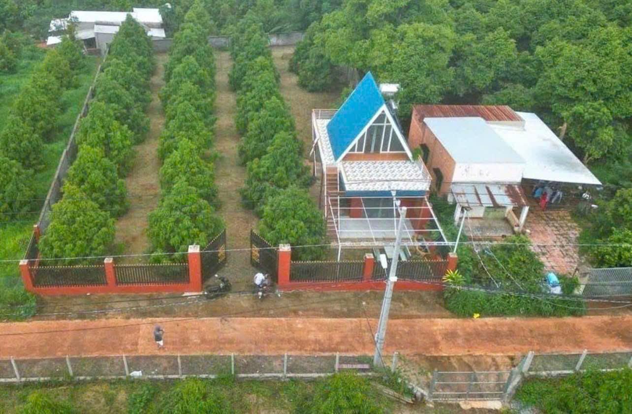  CẦN BÁN NHÀ VƯỜN CÓ 300 CÂY SẦU RIÊNG HỆ THỐNG TƯỚI VÀ ĐIỆN NƯỚC ĐẦY ĐỦ 