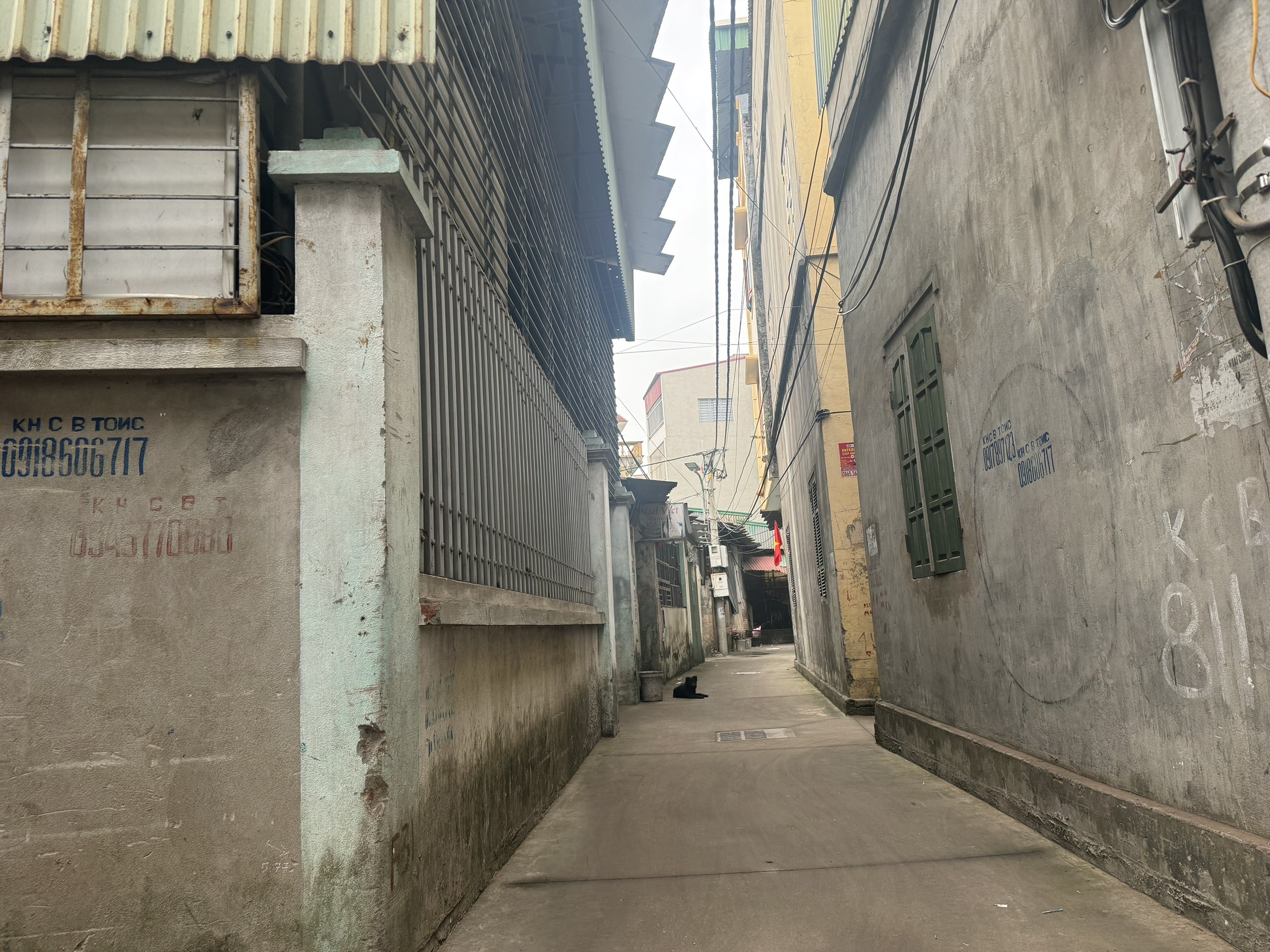  Nhanh Tay Không Mất - ???? Lô Góc Siêu Đẹp Hương Mạc – 61m², 2 Mặt Tiền, Sát Hồ Điều Hòa 