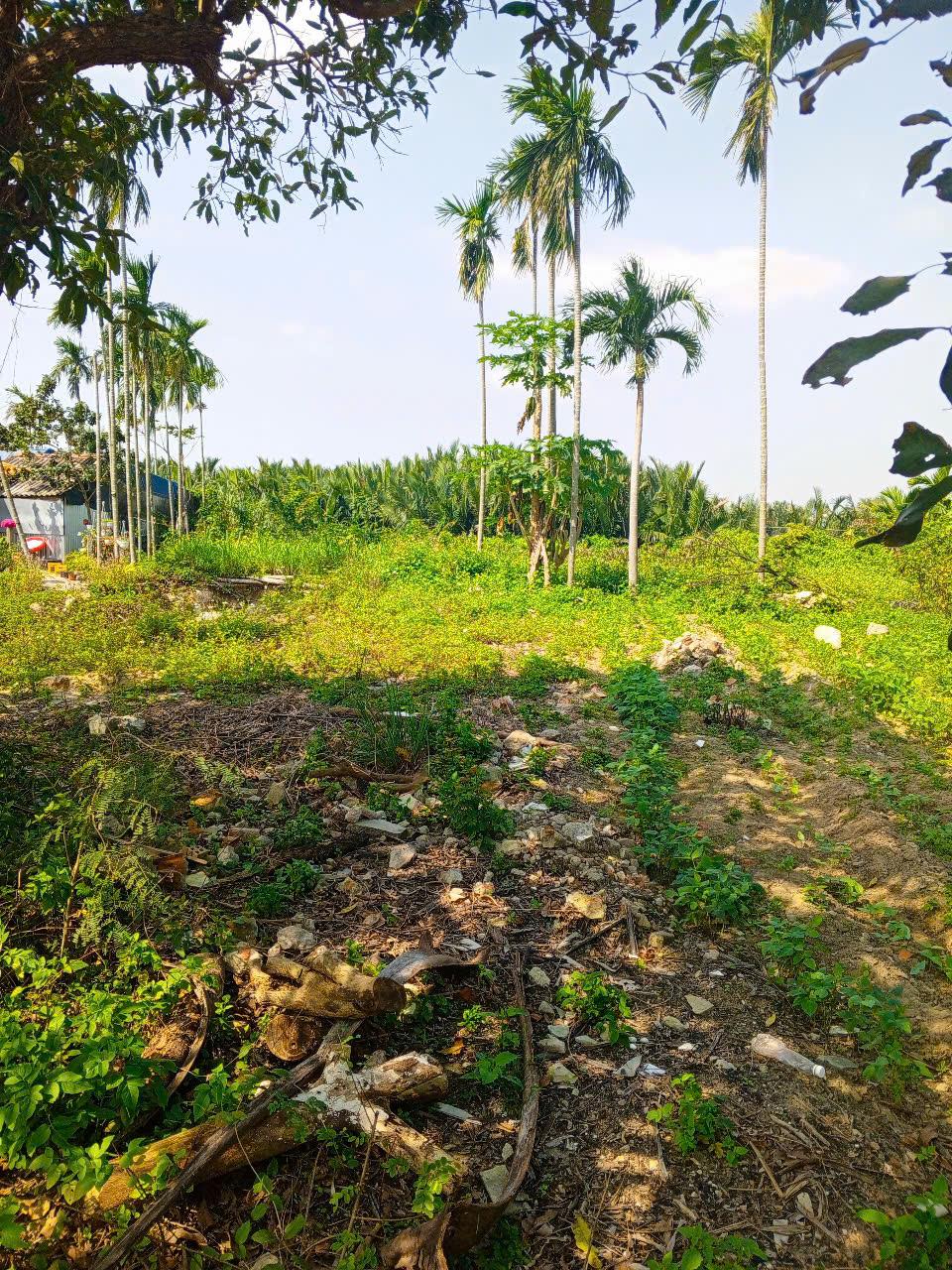  Chủ kẹt tiền cần bán lô đất tại MT đường DX 017 có 1000 m² đất ở., Cẩm Thanh giá 18 tỷ 