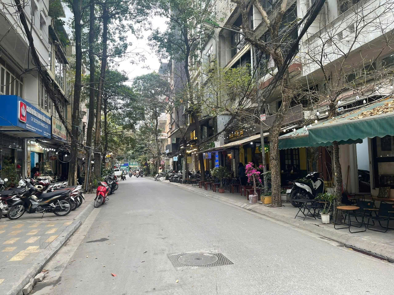  Bán nhà Hoàng Cầu phân lô ô tô tránh 30m ra phố, kinh doanh - 59m x 5 tầng giá 25,5 tỷ 