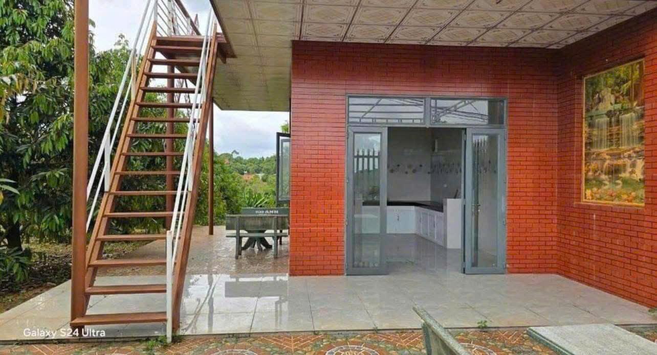  GIA ĐÌNH TÔI SANG MỸ ĐỊNH CƯ KHÔNG CÓ AI CHĂM VƯỜN NÊN CẦN BÁN LẠI HIỆN TẠI VƯỜN CÓ 300 CÂY SẦU RIÊNG CÓ NHÀ TRÊN ĐẤT ĐIỆN NƯỚC ĐẦY ĐỦ CÓ THỂ DỌN VÀO Ở NGAY 