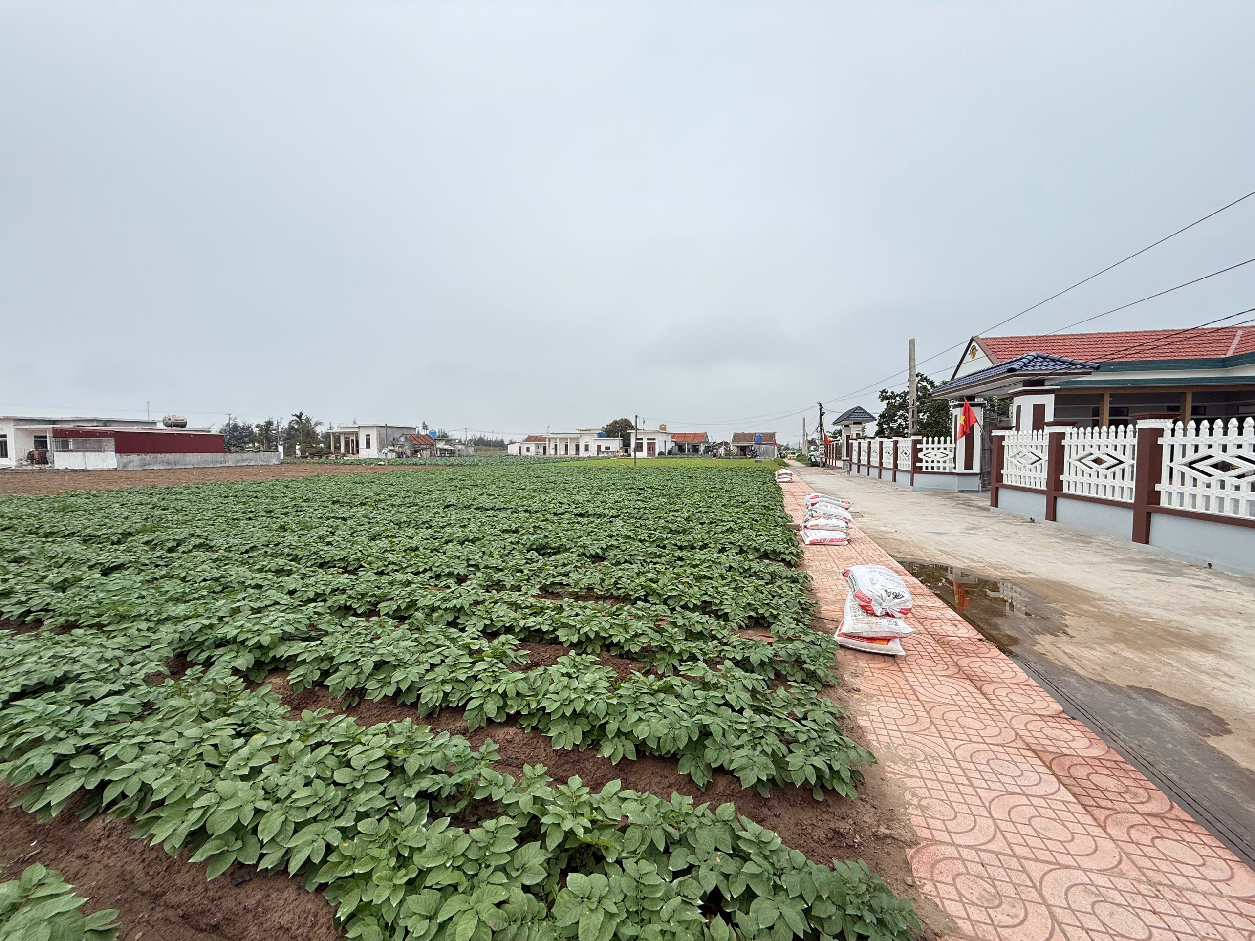  Đất nền ven biển Quất Lâm Nam Định 
