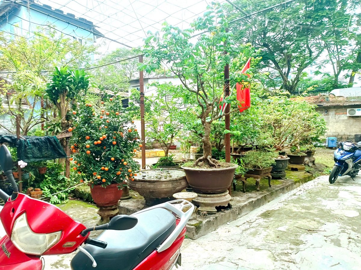  ???? BÁN ĐẤT TẶNG NHÀ C4 — MẶT TIỀN ĐƯỜNG NGUYỄN HUỆ, VĨNH NINH, TP HUẾ ???? 