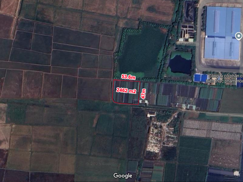  Rẻ! Đất 2.5tr/m² 0.25Ha – Xuân Thới Thượng 2 HM 