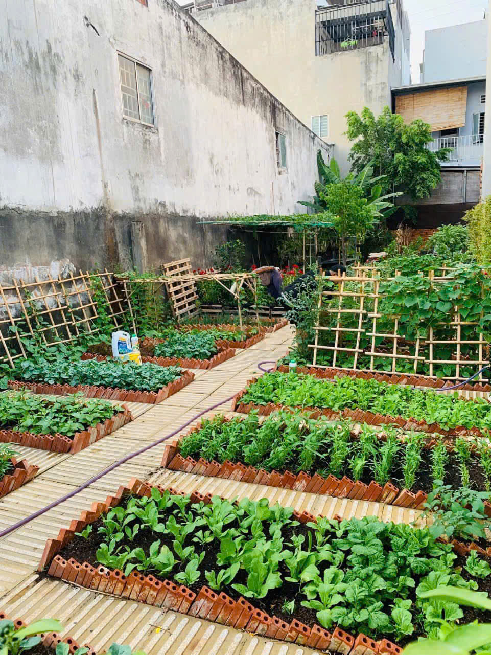  BÁN ĐẤT TẶNG VƯỜN RAU SẠCH NGAY VÀNH ĐAI 2 - LINH ĐÔNG - THÀNH PHỐ THỦ ĐỨC 