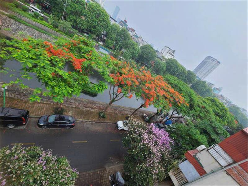 Bán nhà Quan Hoa, Cầu Giấy ,42 m2, 5 tầng, 4m mặt tiền, Giá đất  từ  13.9 tỷ. 