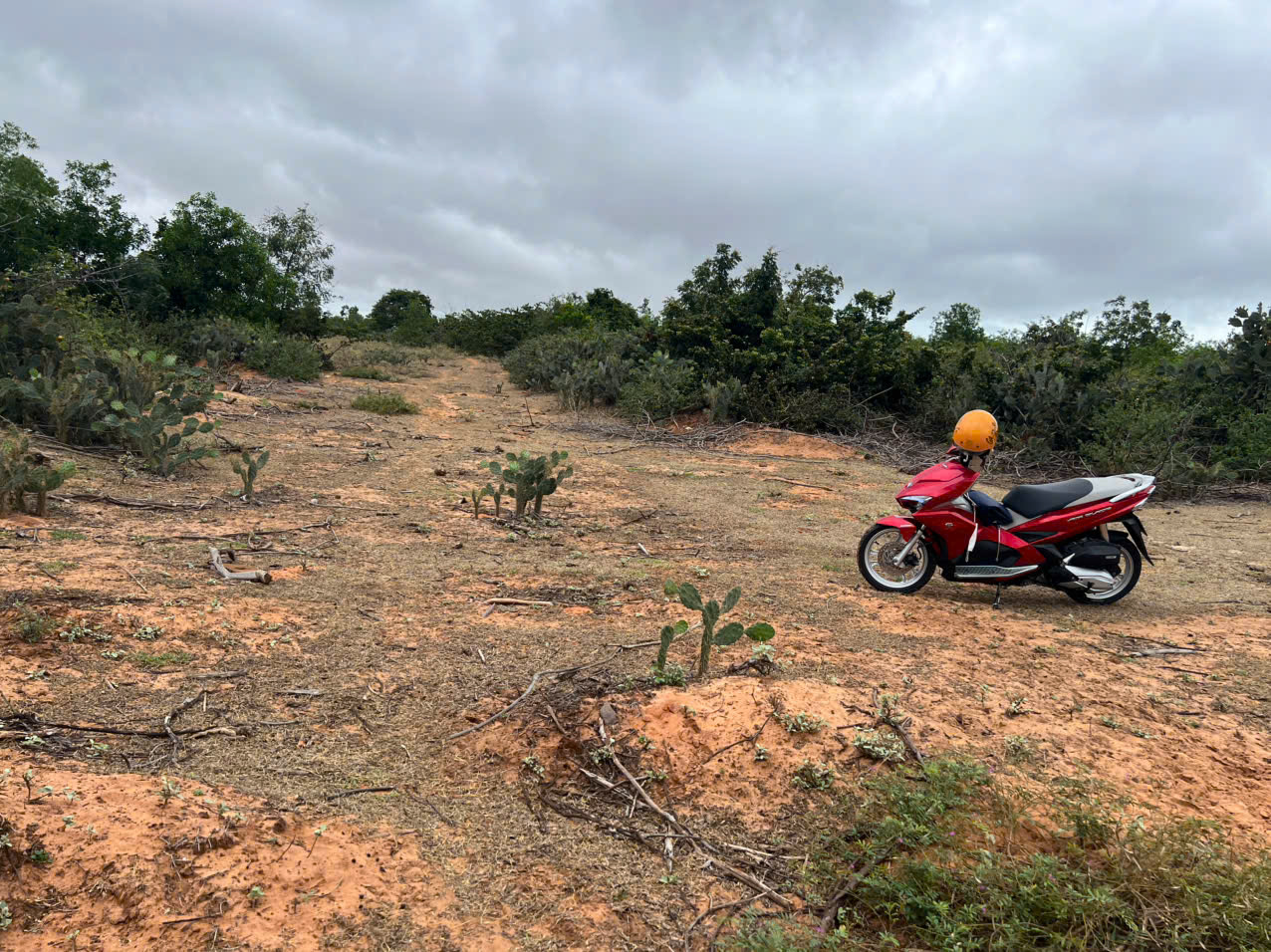  ???? CHỈ 70 TRIỆU/1.000M² – SỞ HỮU NGAY LÔ ĐẤT LỚN GẦN BIỂN – SỔ HỒNG RIÊNG ????

???? Vị trí: Thôn Sơn Hải 2, Xã Phước Dinh, Huyện Thuận Nam, Ninh Thuận 