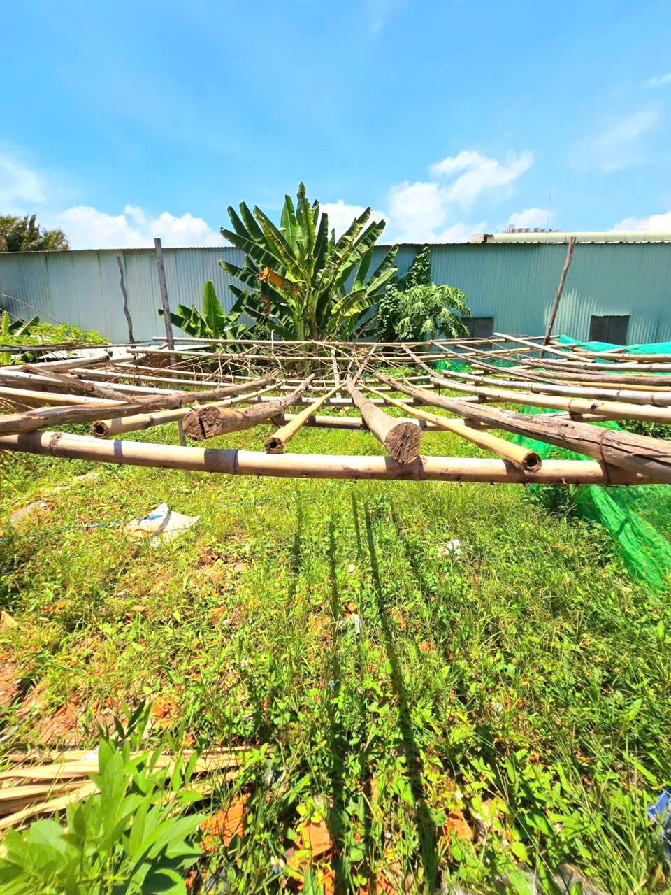  BÁN ĐẤT Phân lô, Trường Thạnh, Nguyễn Xiển Q9, DT ( 4 x 16 ) 63m2, chỉ 3.1ty 