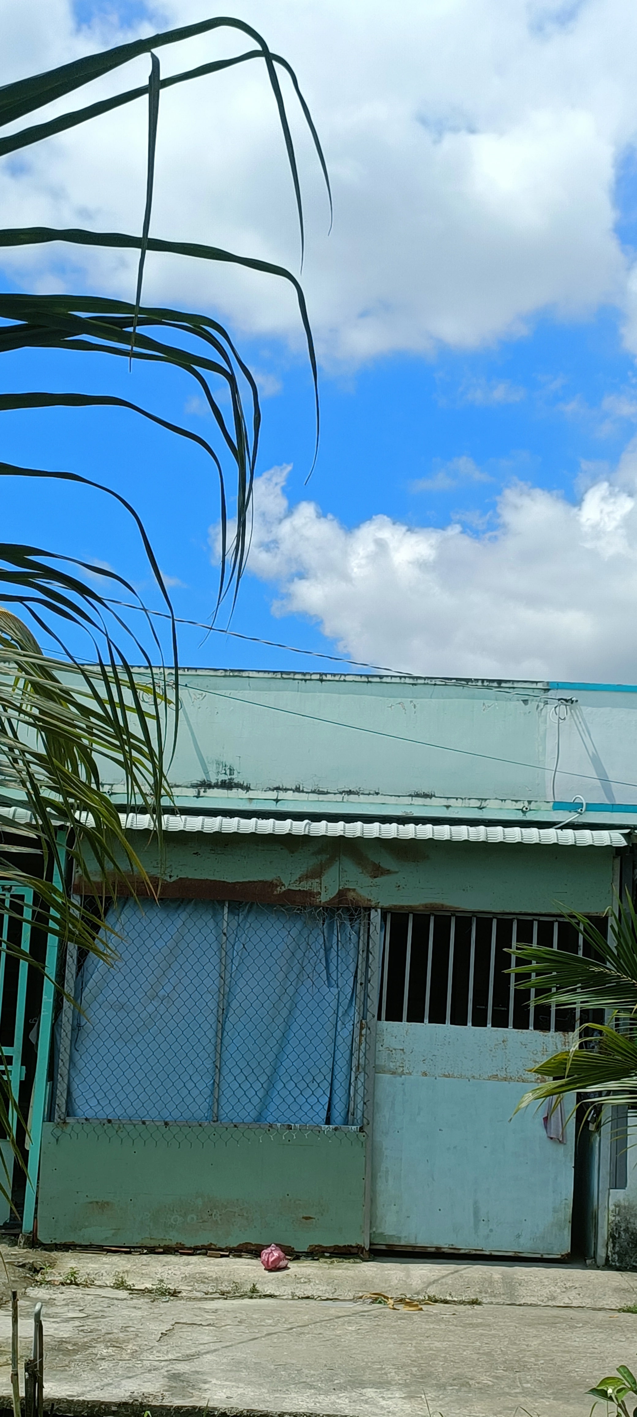  Nhà phố mặt tiền tại Cần Giuộc, Long An – Pháp lý rõ ràng 