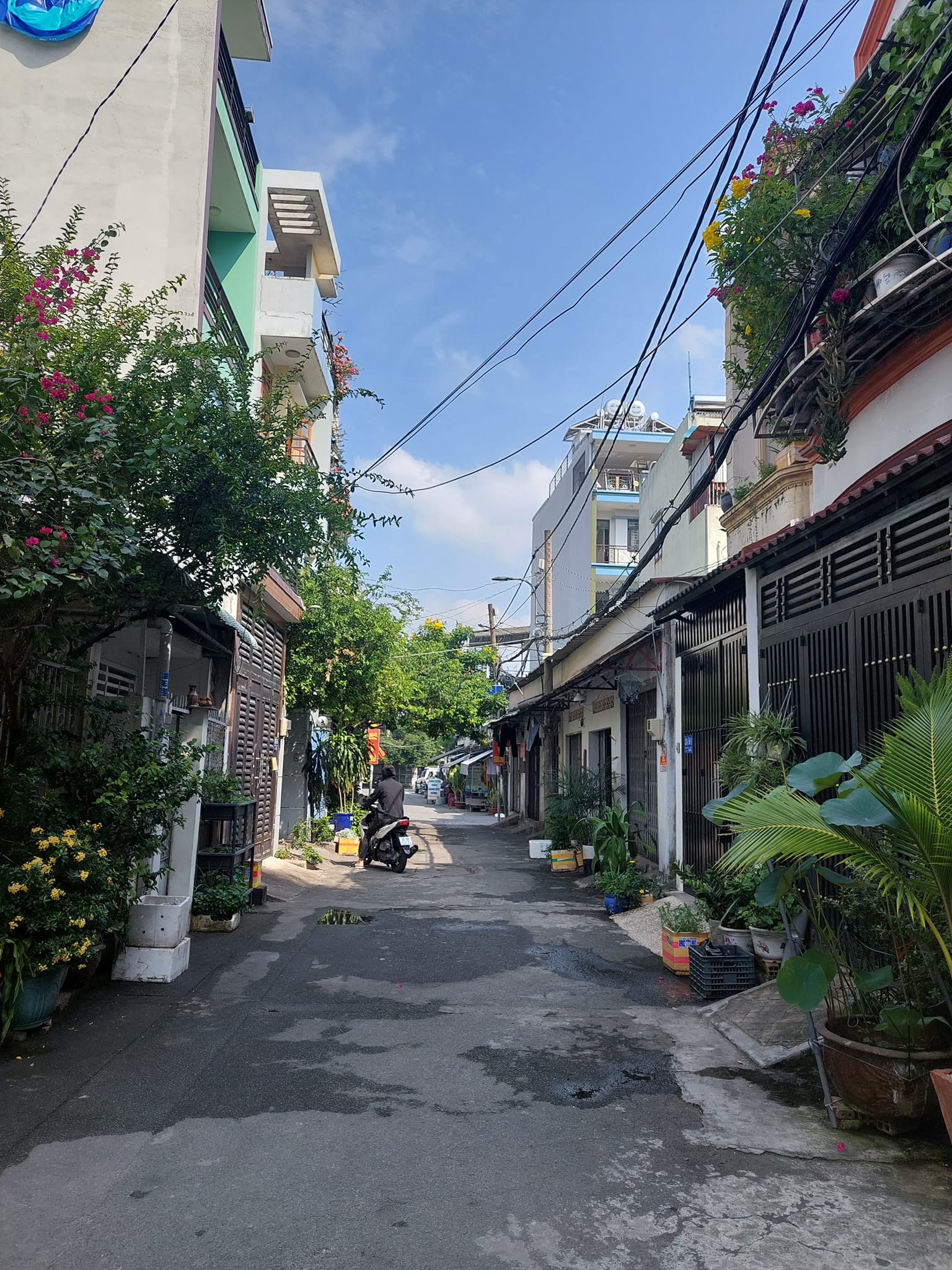  32m - Hoàng Hoa Thám - HXH - 3.6 tỷ 