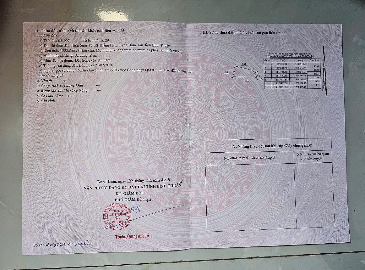  Bán Gấp Lô Đất 1033m² (20x52m) Tại Thắng Hải – Chỉ 1 Tỷ – LH: 0987.750.239 