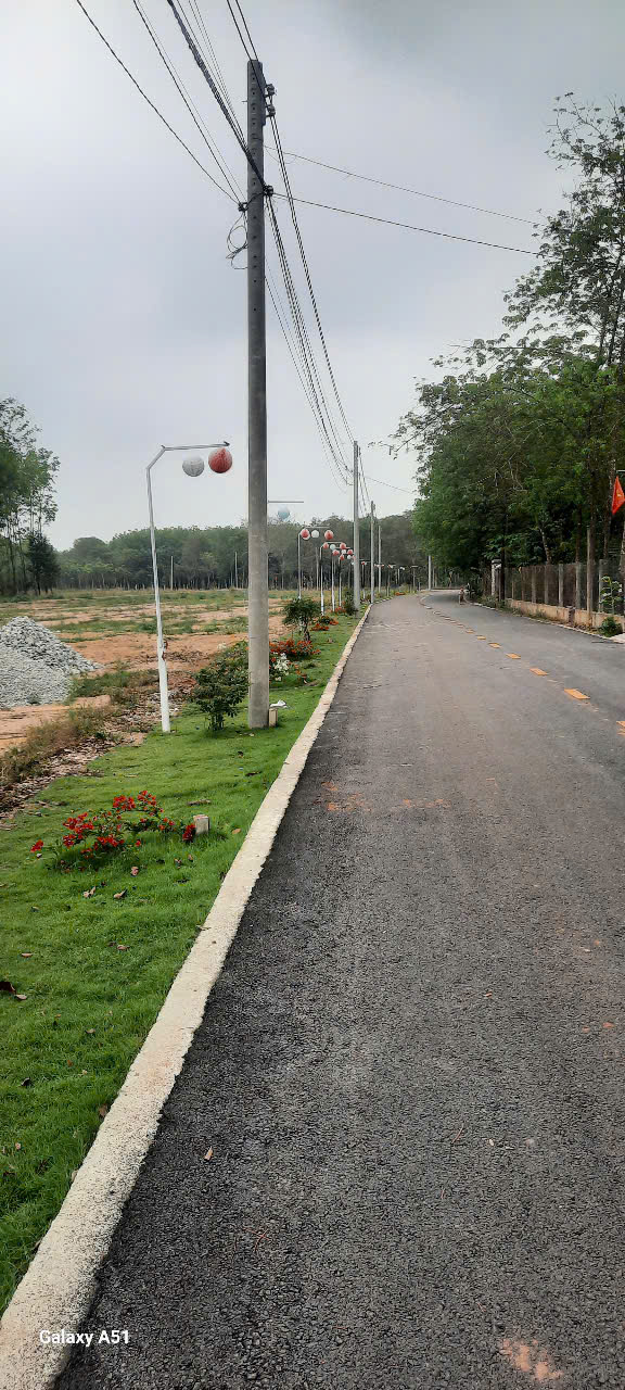 ĐẤT TP.HCM 3,1TR/M2 