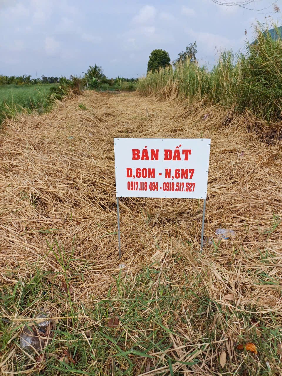  VỊ TRÍ ĐẸP - ĐẦU TƯ SINH LỜI - Chính Chủ Cần Bán Đất Xã Tân Hưng Đông, Cái Nước, Cà Mau 