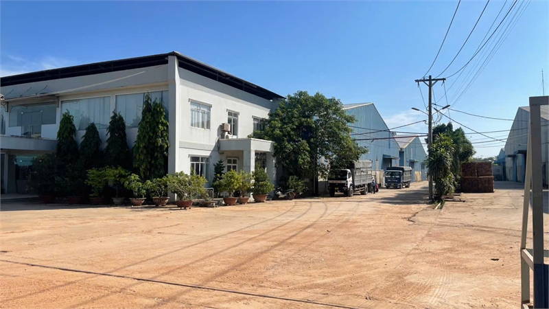  XT LT nhà xưởng kiên cố bàn giao sản xuất nhiều ngành nghề. khung thép kiên cố 