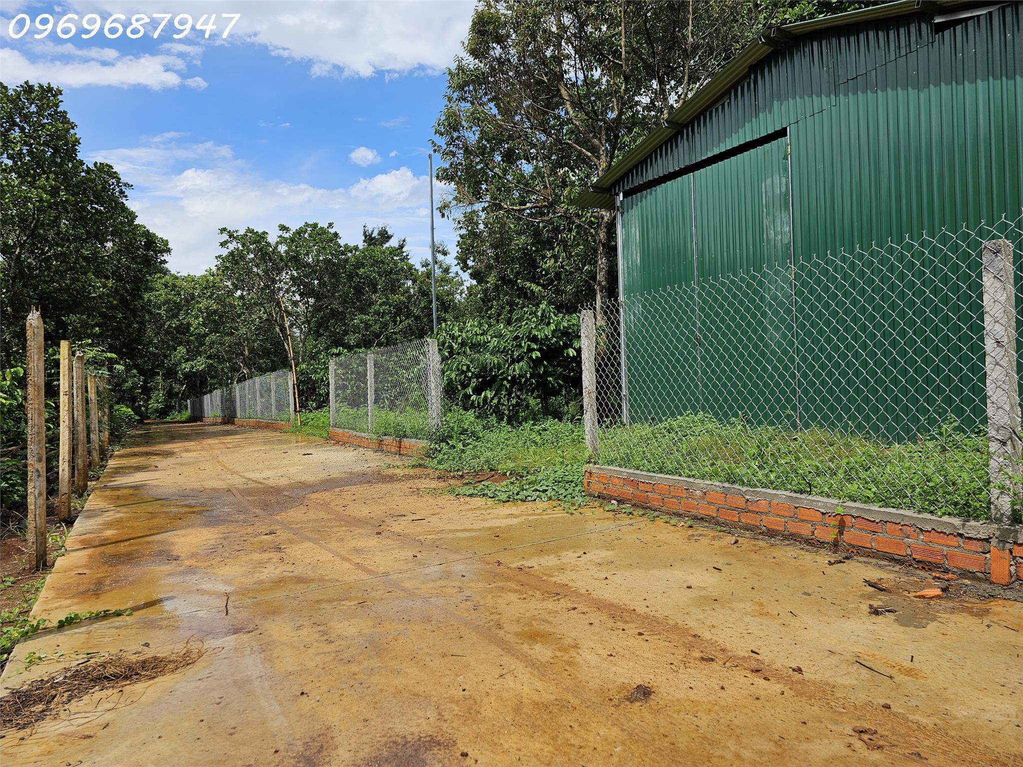  ???? BÁN LÔ ĐẤT 1.7HA EA KAO - BUÔN M ATHUỘT – CHỈ 450TR/SÀO! ???? 