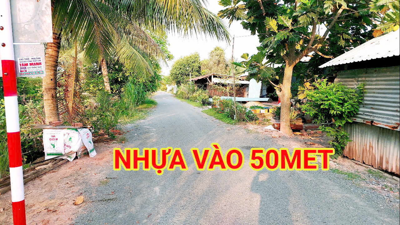  40 triệu Sang tên 170m2 thổ gần DT823, mõi tháng trả dần 3 triệu. 