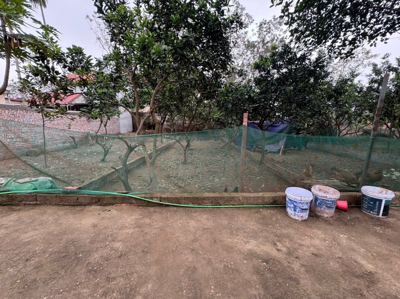  Bán 35m đất tổ 9, Quang Minh, Mê Linh. Gần KCN và trường cao đẳng Y Dược Tuệ Tĩnh 