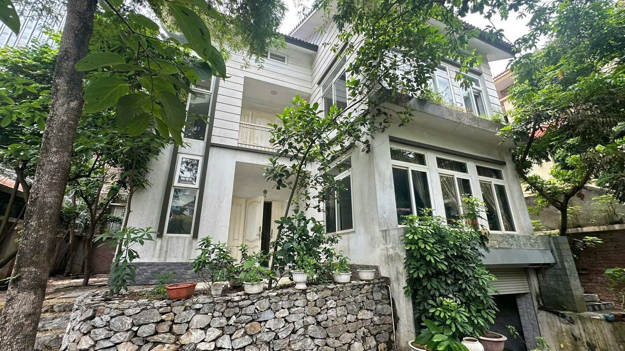  Mặt phố Nguyễn Đức Cảnh,Hoàng Mai,kinh doanh sầm uất,mặt tiền khủng 87 m2,17 tỷ 