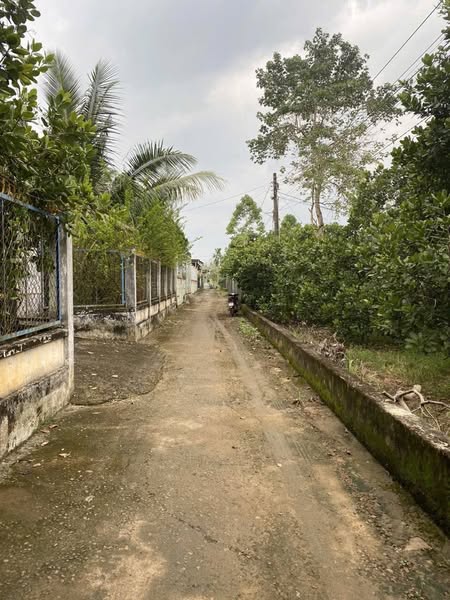  BÁN ĐẤT ĐẸP BÀU CẠN – LONG THÀNH 