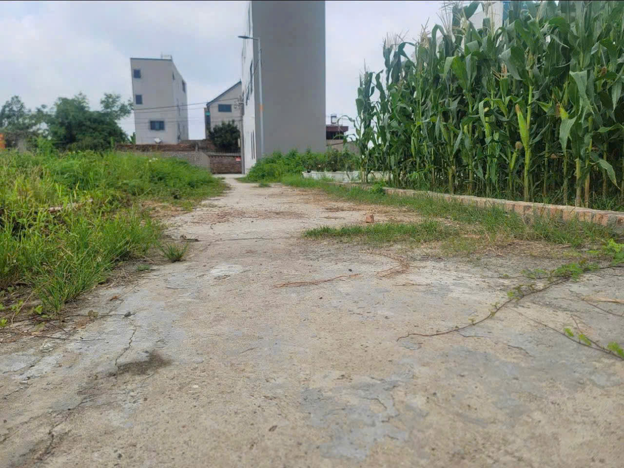  Bán đất tổ 10, TT Quang Minh, Mê Linh. Lô góc 3 mặt thoáng cực đẹp, gần KCN. Đất ở 100% 