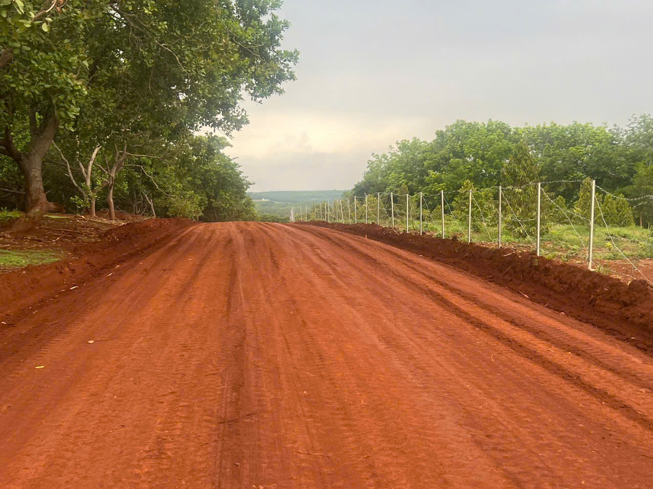  Bán gấp 1000m2 đất vườn giá 230 triệu liên hệ 0706 320 631 gặp AN 