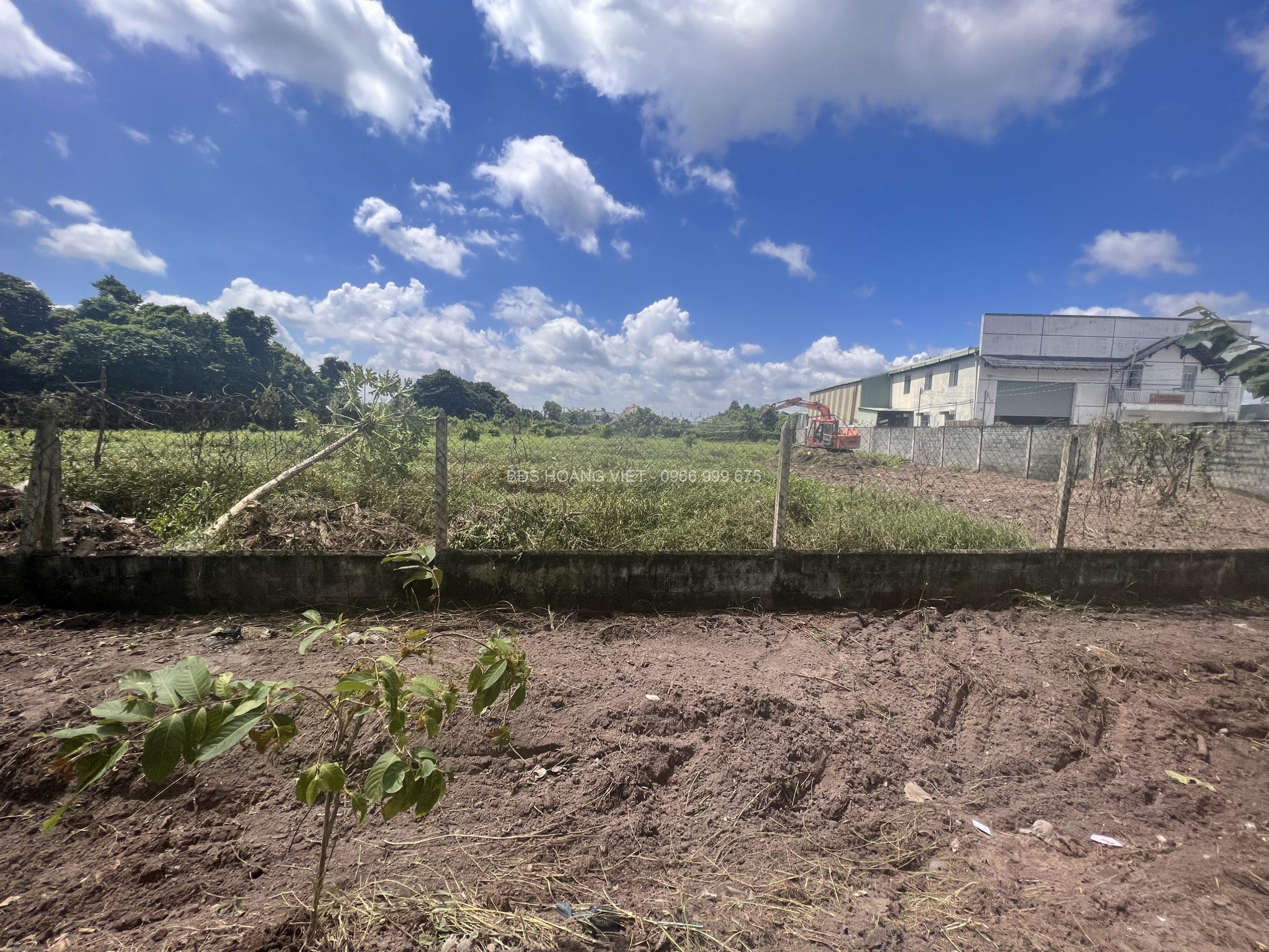  Bán Gấp 1000m2 Đất Vườn Giá 210 Triệu Liên Hệ 0706320631 gặp A An 
