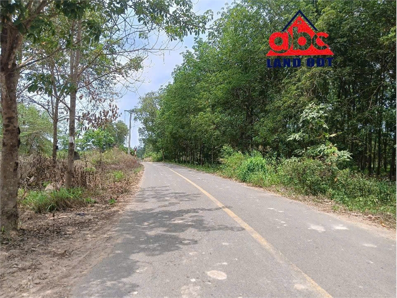  X090 bán nhà xưởng trên thửa đất rộng 9900m2, vị trí thuận lợi sản xuất nhiều ngành nghề 