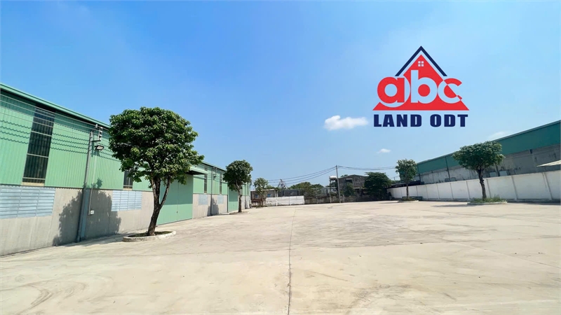  XT387 nhà xưởng mới cho thuê sản xuất, kho vận hành lưu trữ hàng hóa. giao liền 