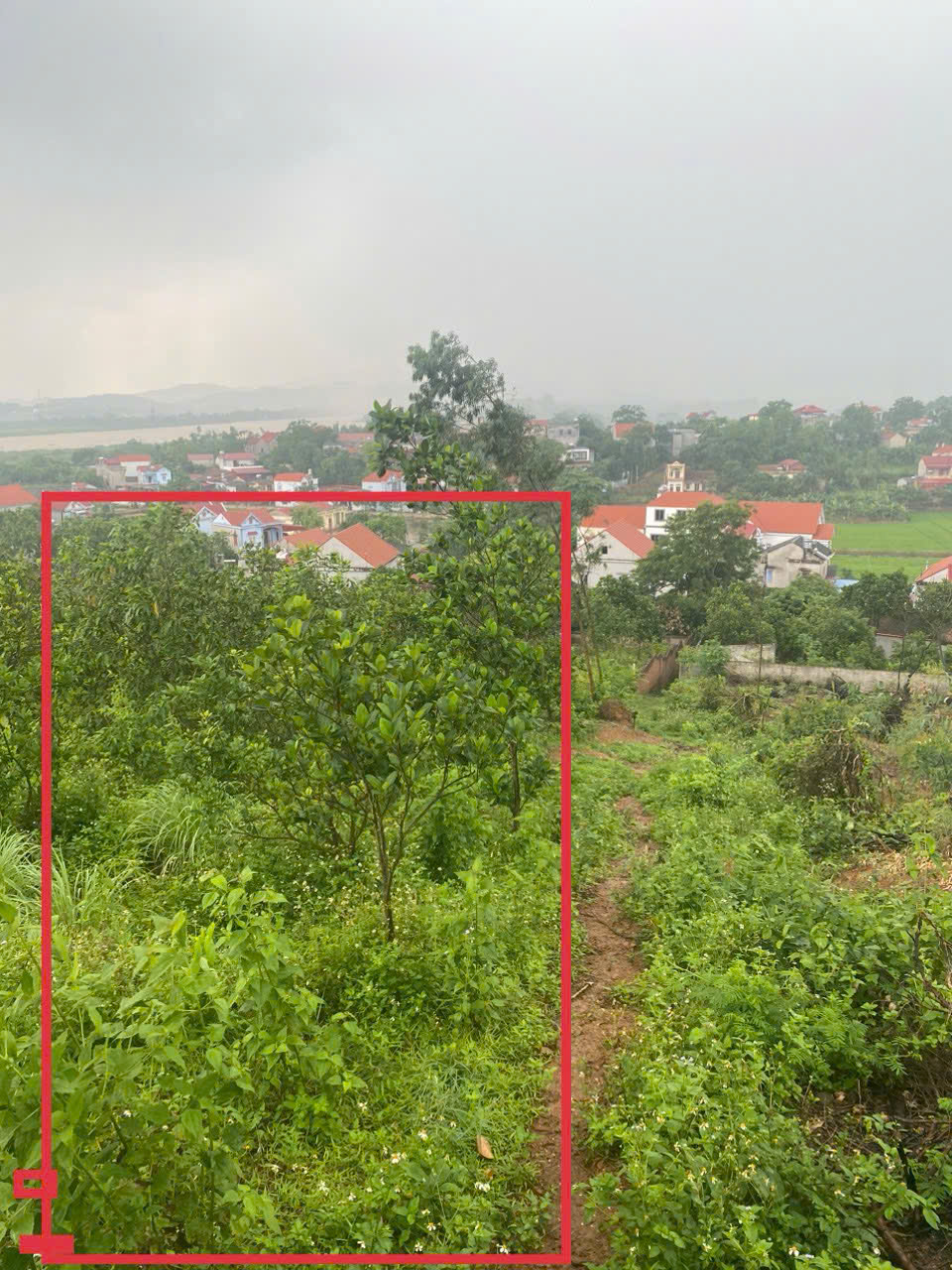  BÁN ĐẤT DIỆN TÍCH RỘNG GẦN 550M² – VỊ TRÍ ĐẸP TẠI THÔN BẮC, XÃ ĐỒNG VIỆT, HUYỆN YÊN DŨNG 