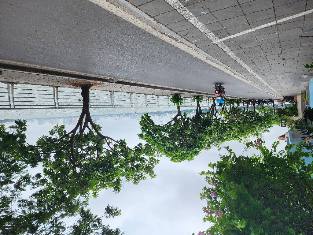  Bán nhà Nguyễn Đình Thi, gần hồ, gần phố, 70m², mặt tiền 5m vuông đẹp, giá hợp lý 