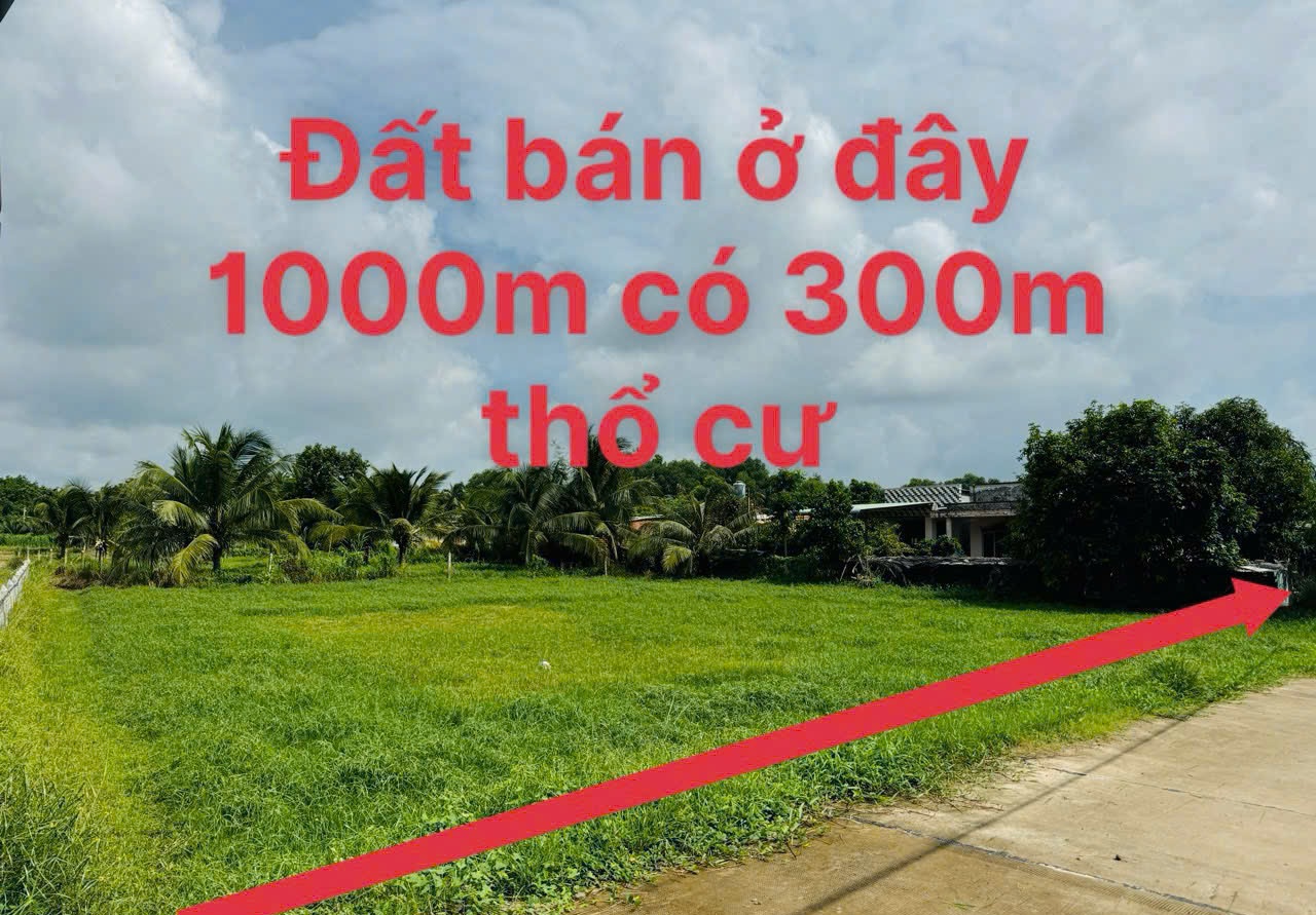  Đất Khủng 1033m2 có 3,750 tỷ Phước Thạnh Củ Chi TP.Hồ Chí Minh. 
