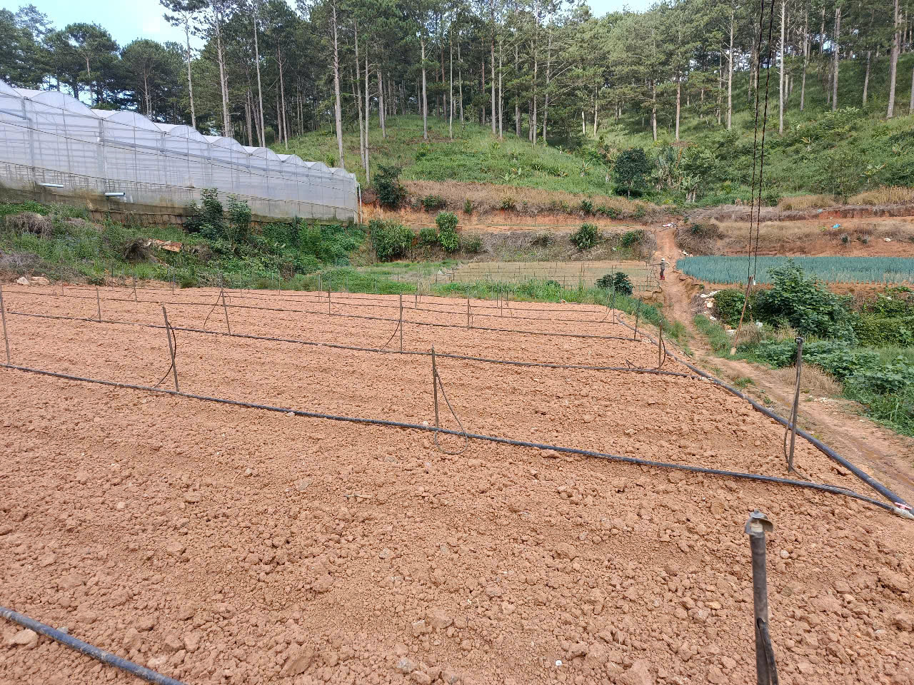  CHÍNH CHỦ GỬI BÁN LÔ ĐẤT ĐẸP 2100M² - GIÁ CHỈ 2 TỶ (TL NHẸ) 