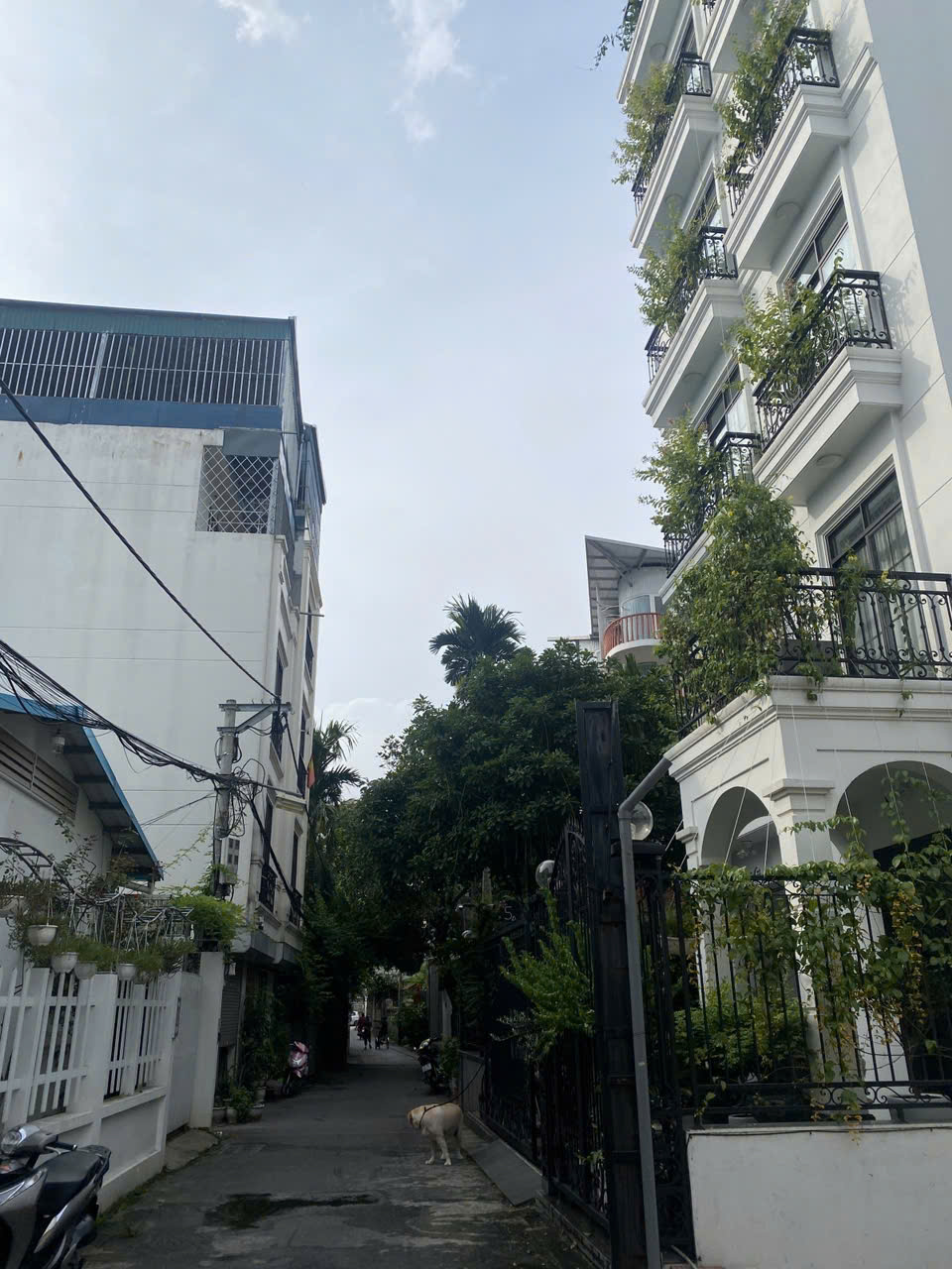  ???? BÁN ĐẤT NGỌC THỤY SIÊU PHẨM PHÂN LÔ – MẶT NGÕ KINH DOANH – Ô TÔ NGỦ TRONG ĐẤT

???? Ngọc Thụy, Long Biên – 106m² sổ / 120m² thực tế – Giá 17.5 tỷ 
