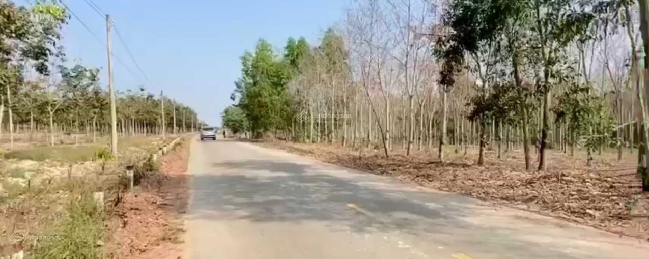  Bán đất 2 MT Tân Thành 43 - Bắc Tân Uyên (BTU) TP. HCM - gần KCN: BTU 1, 2, 3, Tân Lập, Tam Lập 