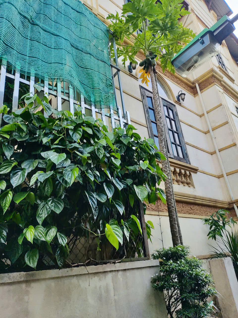  ????????????NHÀ VƯỜN -  PHÂN LÔ - 2 MẶT NGÕ - VIEW HỒ - Ô TÔ - Ở SƯỚNG.????????Giá : nhỉnh 13 tỷ 