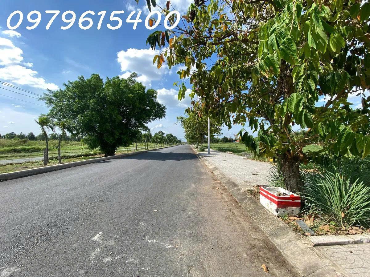  BÁN GẤP ĐẤT THỔ CƯ AN HẠ, BÌNH CHÁNH: SỔ ĐỎ TRAO TAY, DIỆN TÍCH 100M2, GIÁ NHỈNH 2 TỶ - CƠ HỘI VÀNG CHO NHÀ ĐẦU TƯ! 