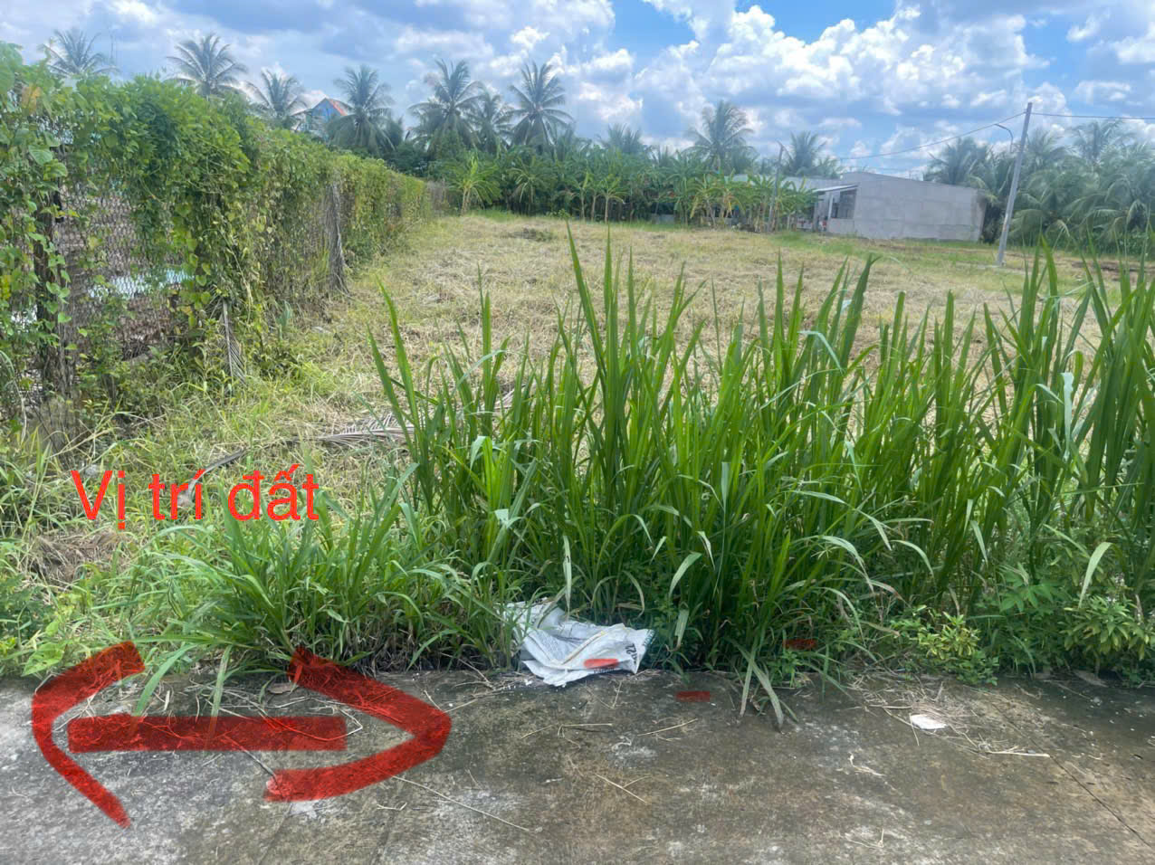  Bán đất KCN Tân Hương, 520tr, 115m2, pháp lý đầy đủ. 