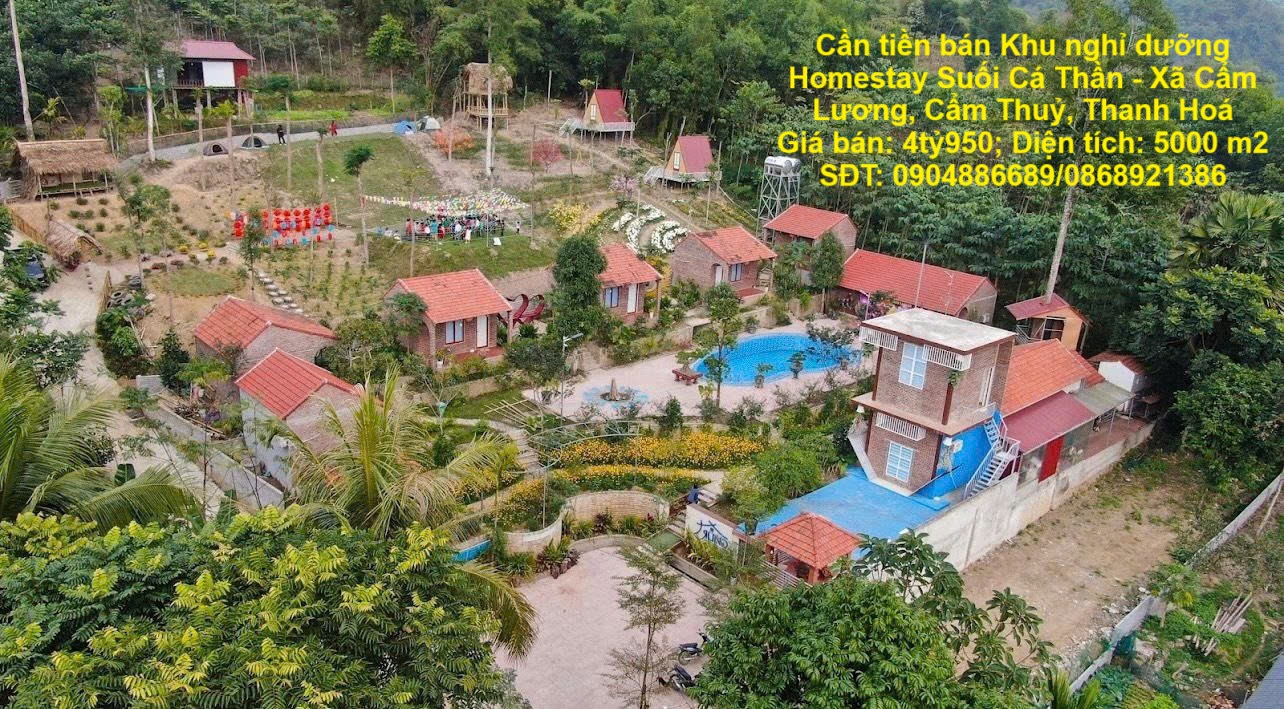  Cần tiền bán Khu nghỉ dưỡng Homestay Suối Cá Thần - Xã Cẩm Lương, Cẩm Thuỷ, Thanh Hoá 