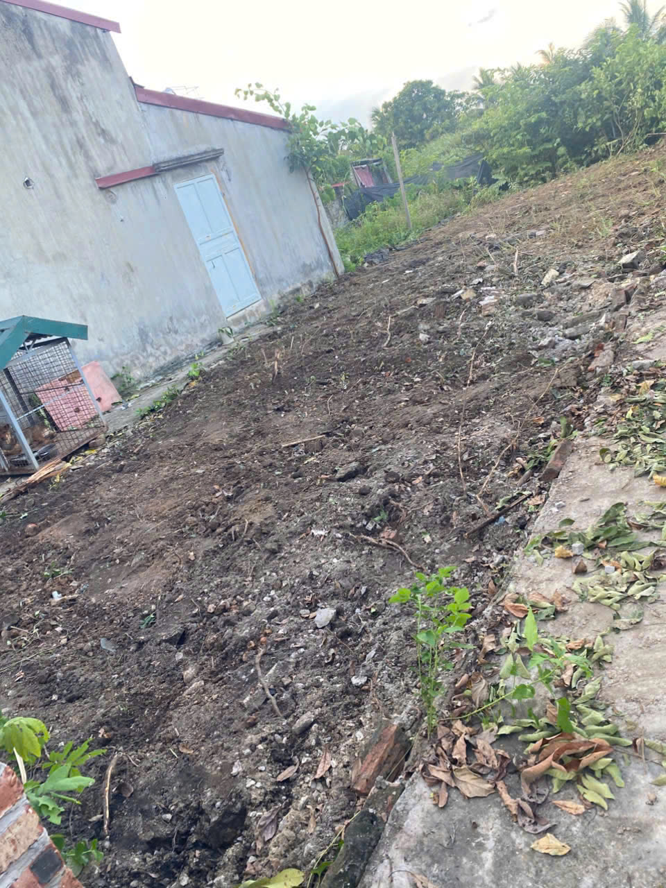  CHÍNH CHỦ CẦN BÁN LÔ ĐẤT CÓ VỊ TRÍ ĐẸP TẠI XÃ HỒNG THÁI – H. AN DƯƠNG – TP. HẢI PHÒNG. 