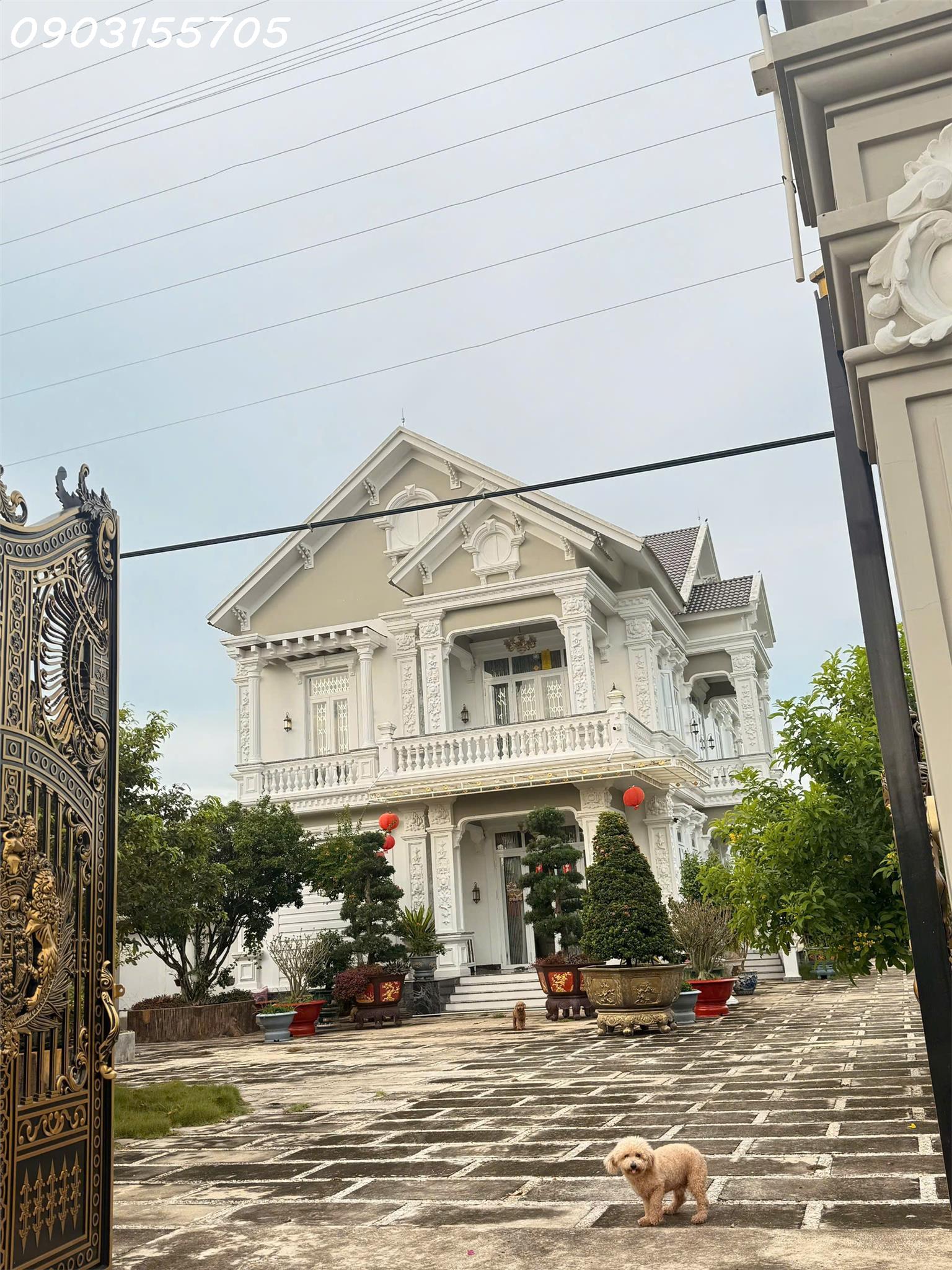  BÁN GẤP BIỆT THỰ XÂY 56 TỶ RAO BÁN CHỈ 42 TỶ TẠI MẶT TIỀN TL 786, BẾN CẦU, TÂY NINH 