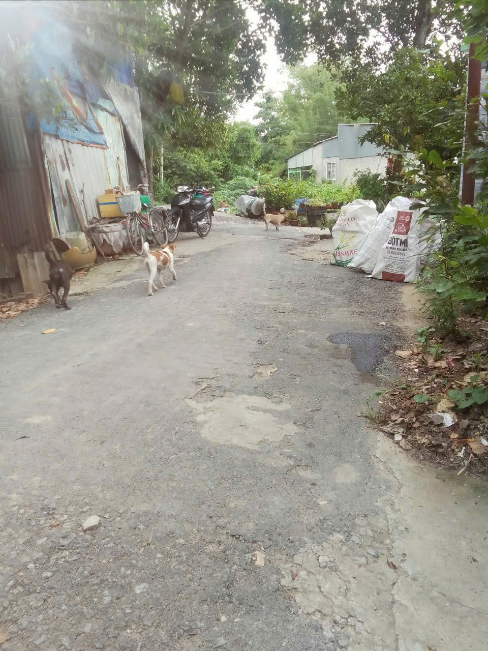  CHÍNH CHỦ CẦN BÁN NHÀ ĐẤT CÓ VỊ TRÍ ĐẸP PHÙ HỢP XÂY BIỆT THỰ VƯỜN TẠI P.BÌNH ĐỨC - TP LONG XUYÊN - AN GIANG. 