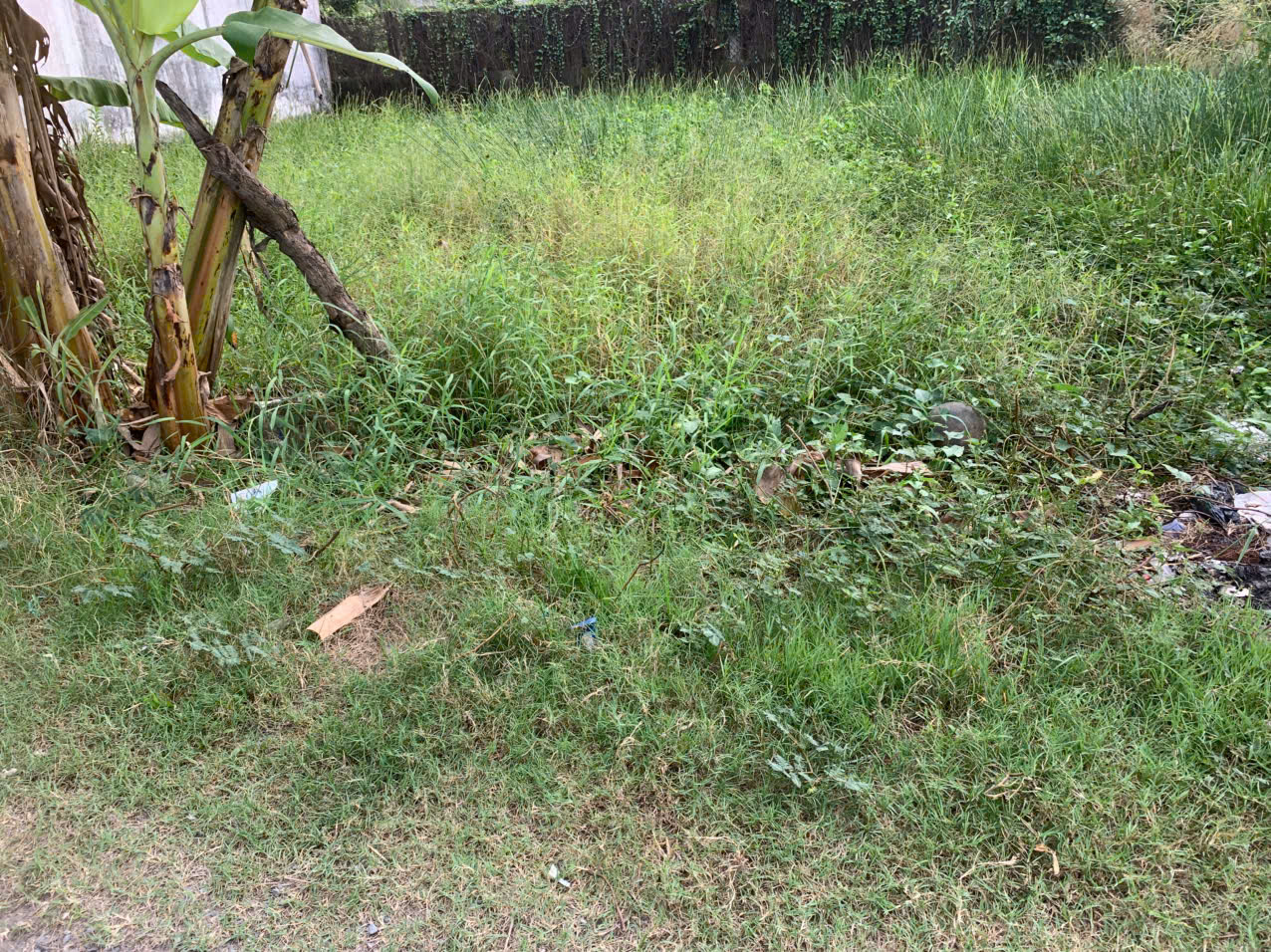  BÁN GẤP ĐẤT THỔ CƯ MẶT TIỀN ĐƯỜNG – MỸ HẠNH NAM, ĐỨC HÒA, LONG AN 