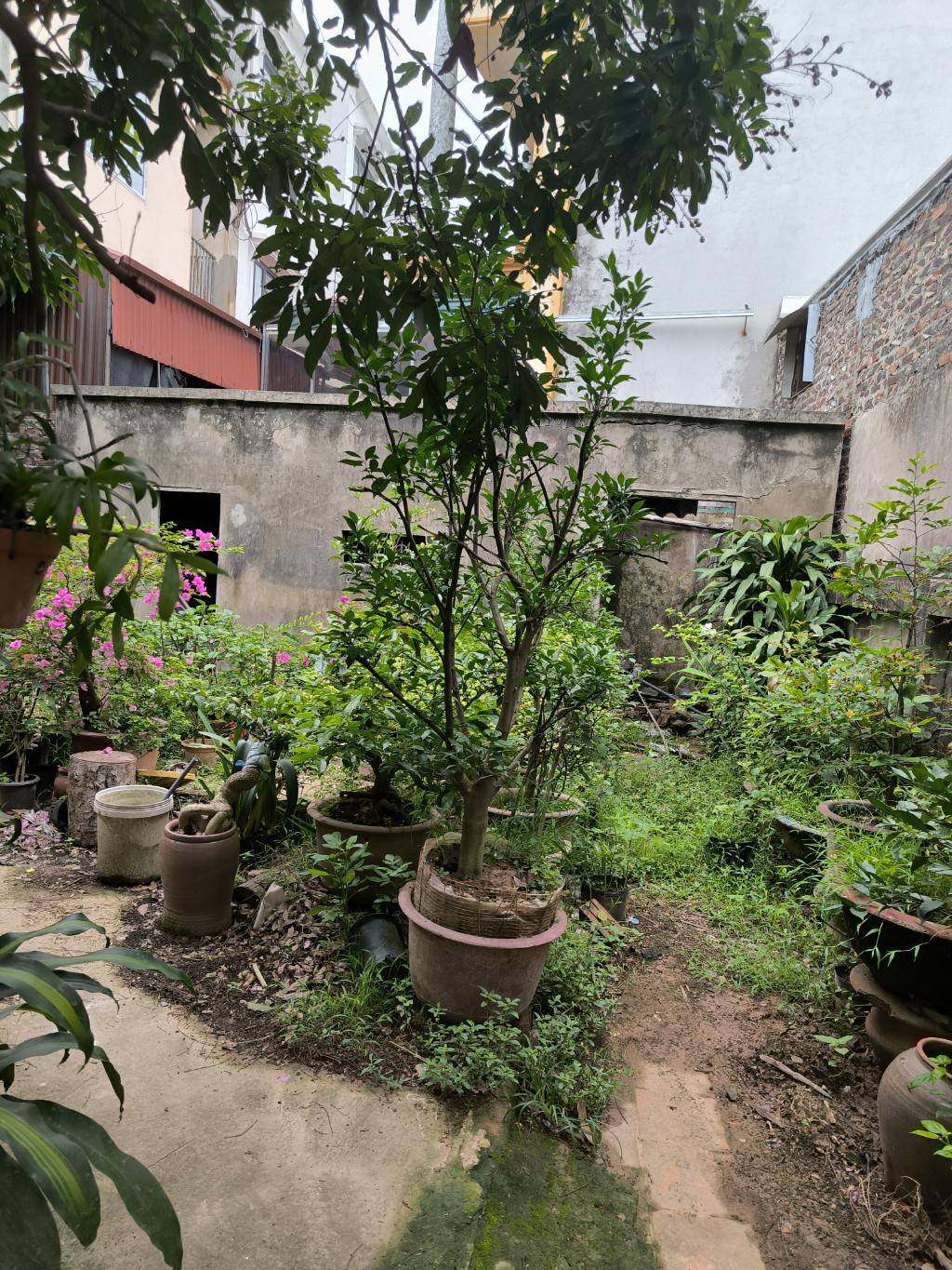  HÓT NHẤT THANH VĂN THANH OAI -445M CHỈ NHỈNH 20 TỶ- VÂY QUANH LÀ CÁC DỰ ÁN LỚN - THÔNG SỐ VÀNG - Ô TÔ TRÁNH CÁCH 8 MÉT - Ô TÔ VÀO ĐẤT 