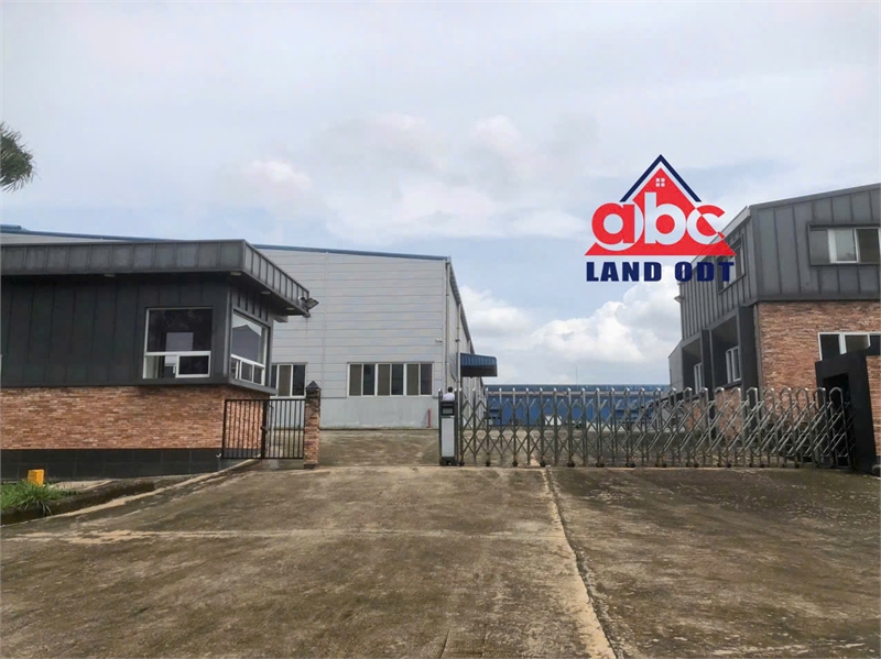  XT449 nhà xưởng sản xuất kinh doanh nhiều ngành nghề, khung thép kiên cố 