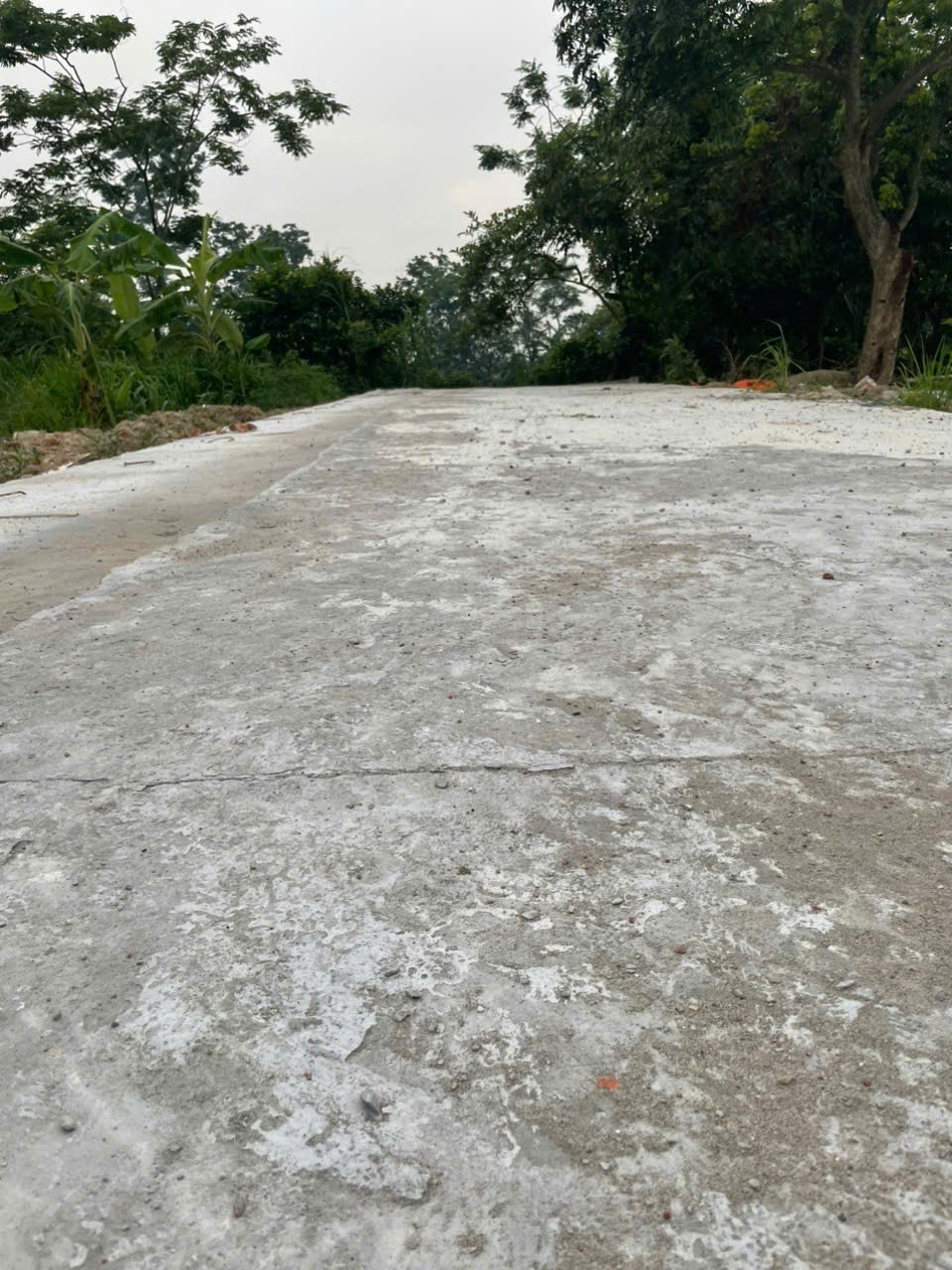  ĐẤT CHÍNH CHỦ - VỊ TRÍ ĐẮC ĐỊA - Đất Định Cương, Xuân Lai, Gia Bình, Bắc Ninh 