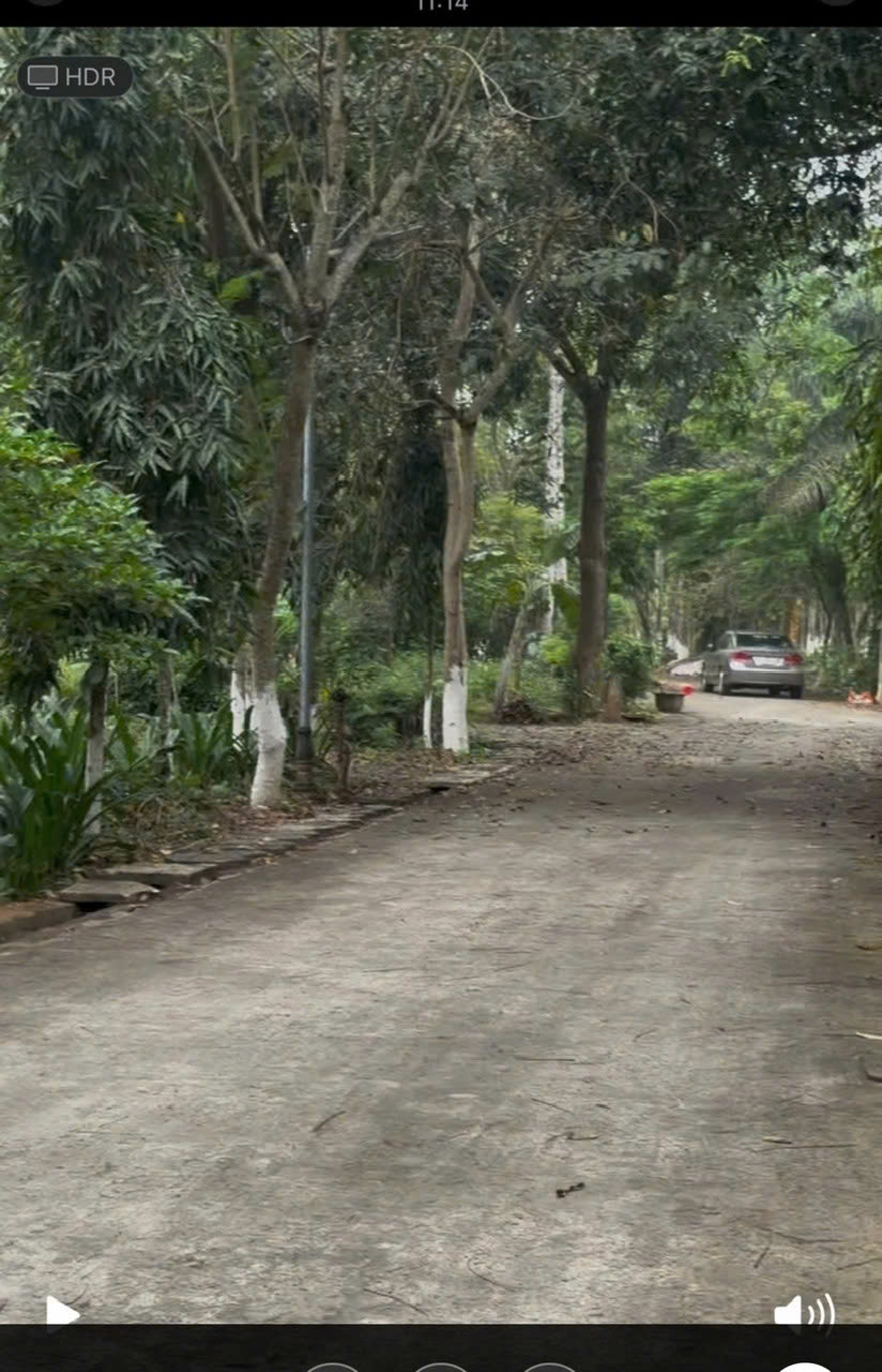  CẦN BÁN 152m² ĐẤT THỔ CƯ TẠI XÓM MUỖI , XÃ YÊN BÀI,  BA VÌ, HÀ NỘI 
