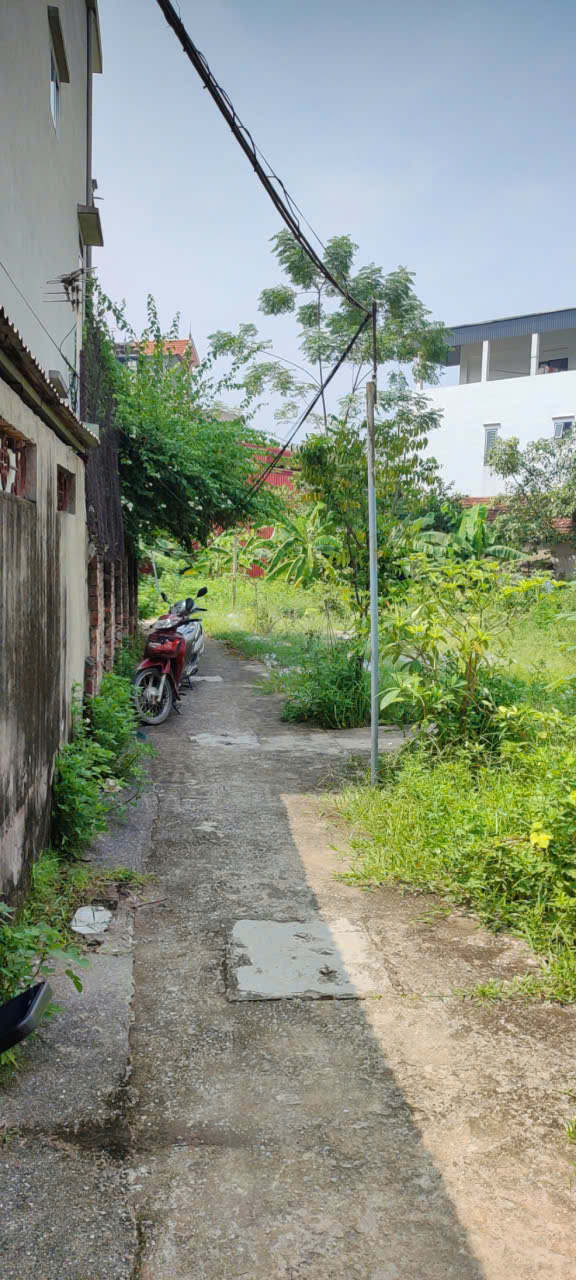  ????????????ĐẤT ĐẸP VĨNH TRUNG-#MẶT TIỀN RỘNG-GIÁ CHỐT QUANH 16 TỶ-#ĐẦU TƯ CHIA LÔ #TRUNG TÂM PHÁT TRIỂN TỪNG NGÀY  ???????????? 
