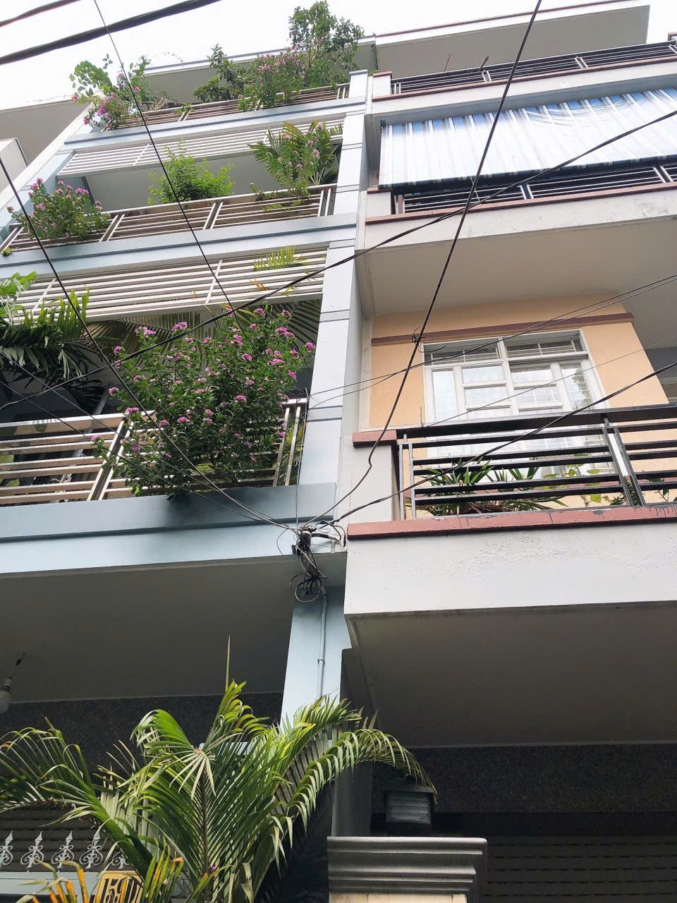  ???? LÔ GÓC HXH 5M – PHẠM THẾ HIỂN P.3 Q.8 – 51M² – GIÁ CHỈ 7 TỶ ???? 